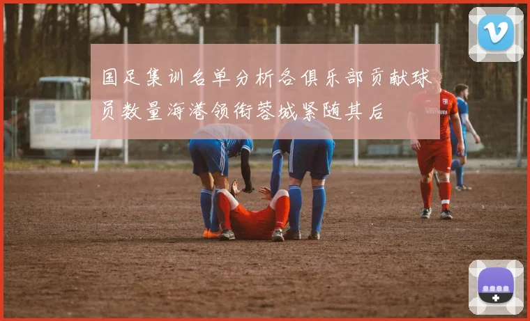国足集训名单分析各俱乐部贡献球员数量海港领衔蓉城紧随其后